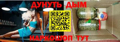 гашик Донской